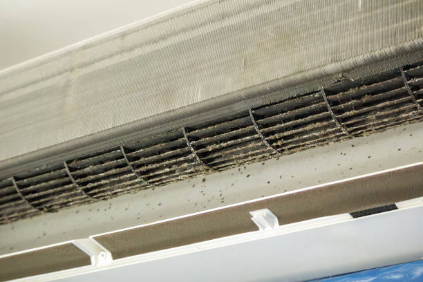 Ductwork Cleaning Services in Northlake, SC